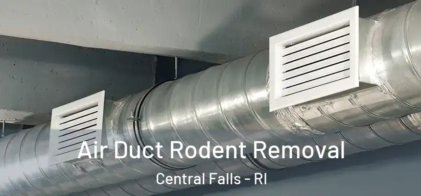 Air Duct Rodent Removal Central Falls - RI
