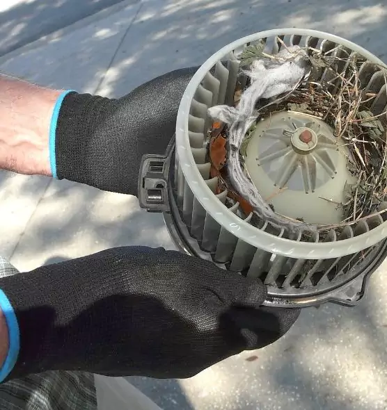 About Air Duct Mice Removal in Central Falls, RI