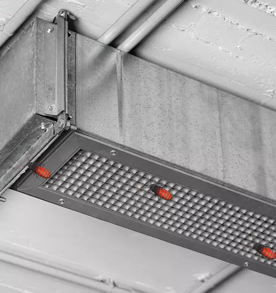 Affordable Insect Removal from Air Ducts in Central Falls, RI