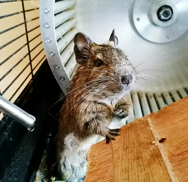 Why Homeowners & Businesses Trust Us Central Falls, RI?