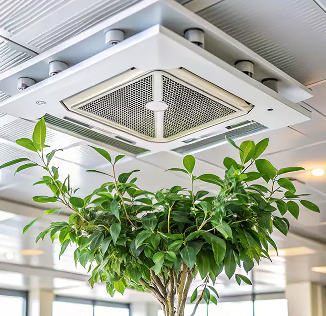 Why Homeowners & Businesses Trust Us in Central Falls, RI?